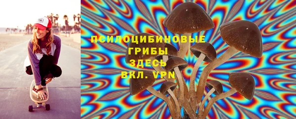 мет Богородицк