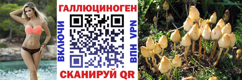 Галлюциногенные грибы MAGIC MUSHROOMS  Кореновск 